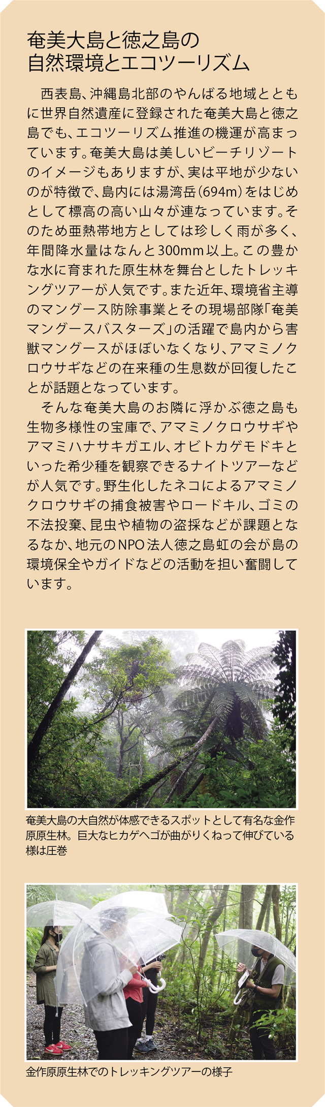 奄美大島と徳之島の自然環境とエコツーリズム