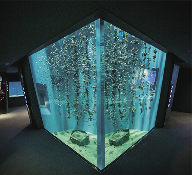202205_tanikai_chugoku02_04
