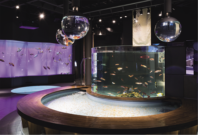 水紋鏡（すいもんきょう）と吊り水槽。嚴島神社の「鏡の池」をモチーフとした水盤を取り入れた水量5トンの円錐型水槽。透明の球形の吊り水槽にも金魚が