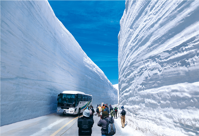 「立山黒部アルペンルート」の高さ20mにも迫る巨大な雪の壁「雪の大谷」。4月中旬から6月中旬に見られる（写真提供：立山黒部アルペンルート）