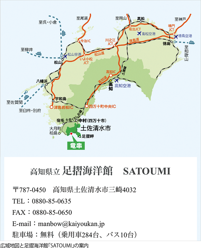 足摺の生態系をリアルに再現した高知県立足摺海洋館「SATOUMI