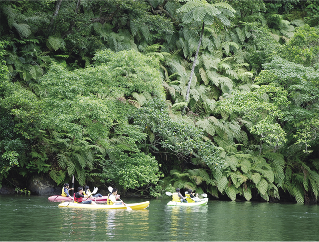 浦内川観光の遊覧船でのジャングルクルーズ