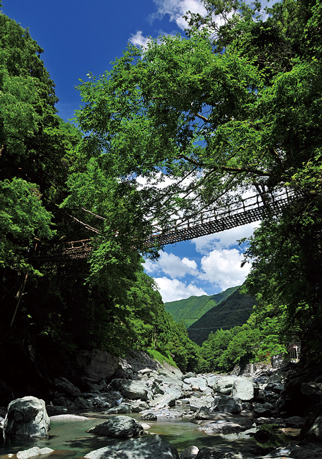 かずら橋遠景。橋床は梯子のようになっており10cm以上の隙間があり、眼下に川が見える