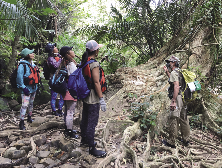 「最後の秘境」ともいわれる西表島の原生林でのトレッキングツアー