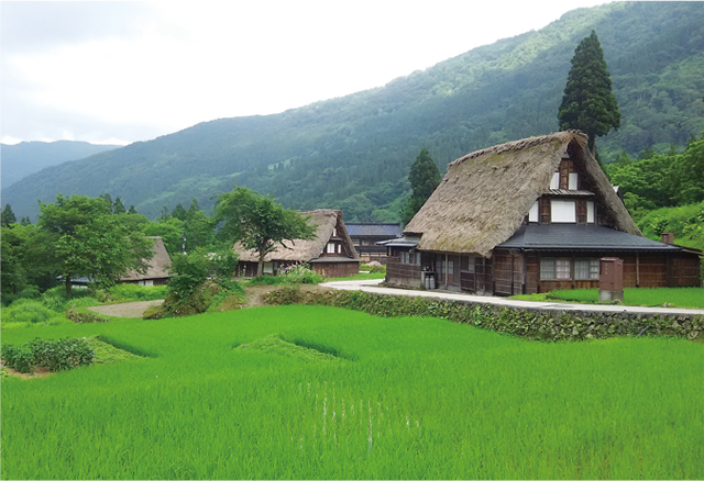 ながらの暮らしが残る世界文化遺産「五箇山合掌造り集落」。