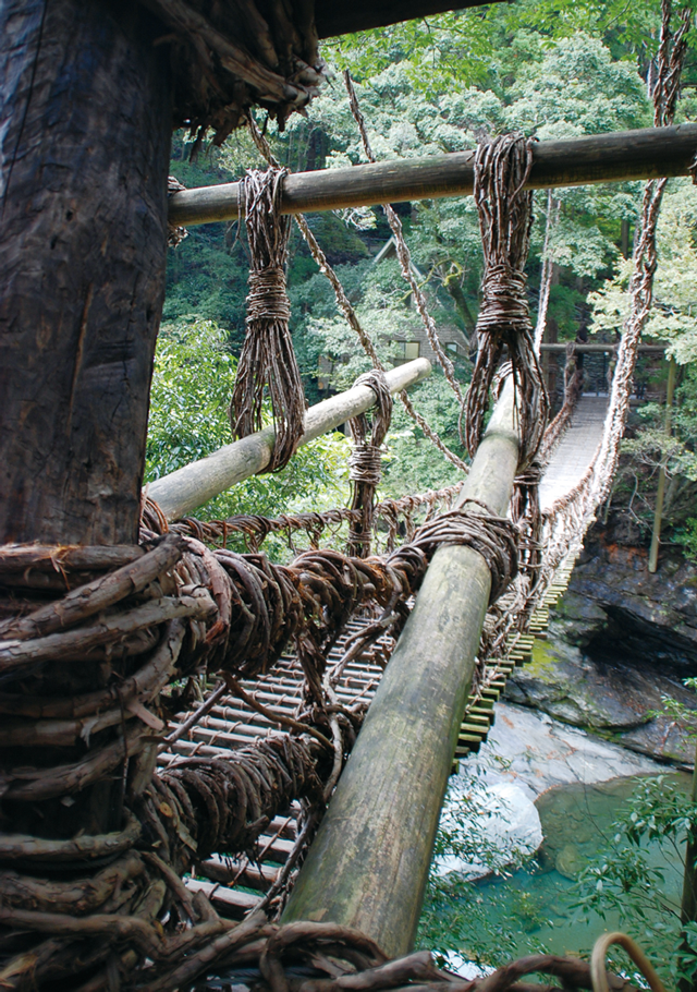 かずら橋近景