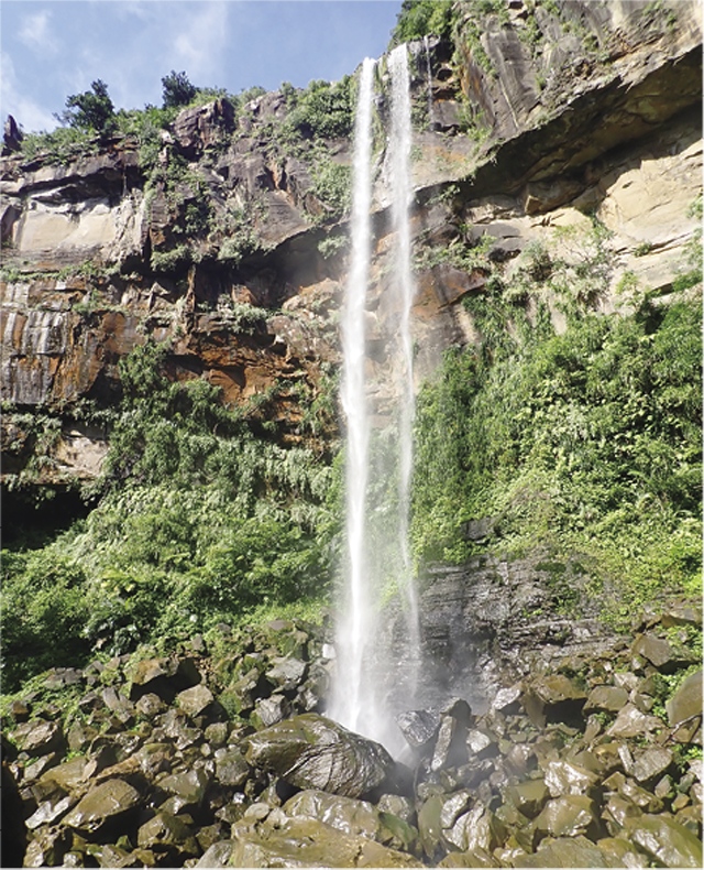 西表島北部のテドウ山のさらに北側にあるピナイサーラの滝。沖縄県最大の54mの落差を誇る