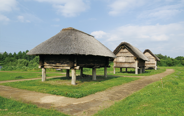 三内丸山遺跡では「掘立柱建物」（高床倉庫）3棟が復元された。ちなみに、この倉庫はネズミなどから食料を守るために高床式にされたと考えられている