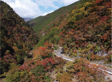 おすすめ飛行スポ ットの一つ、徳島 県随一の紅葉ポイ ント「高の瀬峡（こうのせきょう）」