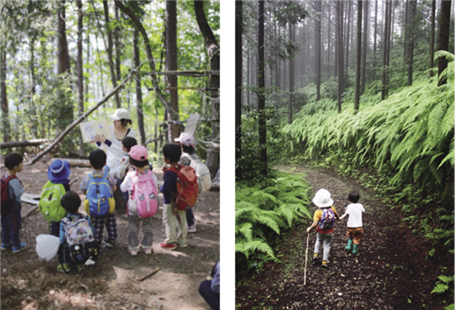 アカデミーの演習林「森を歩くと、不思議や発見がいっぱい」 幼児の森の学校プログラムの様子