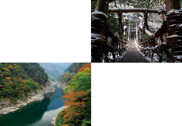 冬のかずら橋／小歩危峡の紅葉