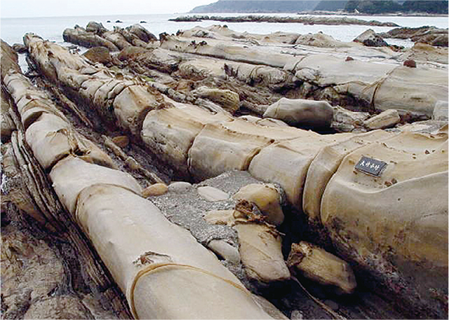 竜串・見残しの海岸に広がる「奇岩」。見残し海岸は風や波の浸食でできた奇岩の宝庫で、地質の博物館とも呼ばれている