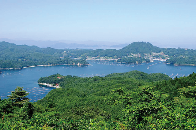 島内最高地点の亀山（海抜235m）から見た大島