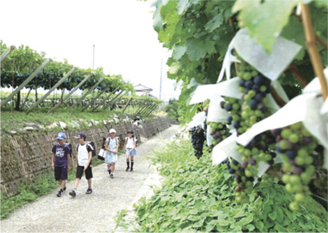 元の子どもたちの登下校風景