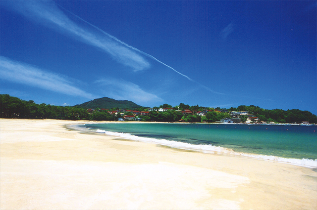 小田の浜海水浴場も体験できる