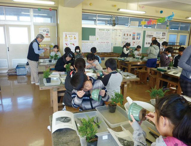 大宮盆栽美術館では毎年、地域の小学校に出張し、盆栽教室を実施 写真提供：さいたま市大宮盆栽美術館