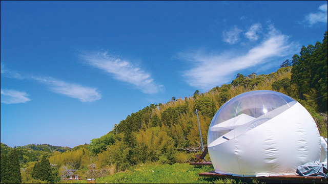 グランピングなどの宿泊サービスも提供。透明なバブルテントに宿泊し、ジビエバーベキューや星空観察を楽しむことができる