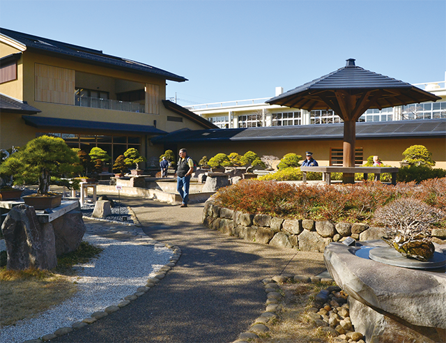 大宮盆栽美術館内にある庭園の様子。約120点の所蔵盆栽のうち、常時約60点を展示