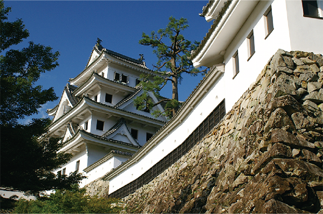 日本最古の木造再建城である郡上八幡城