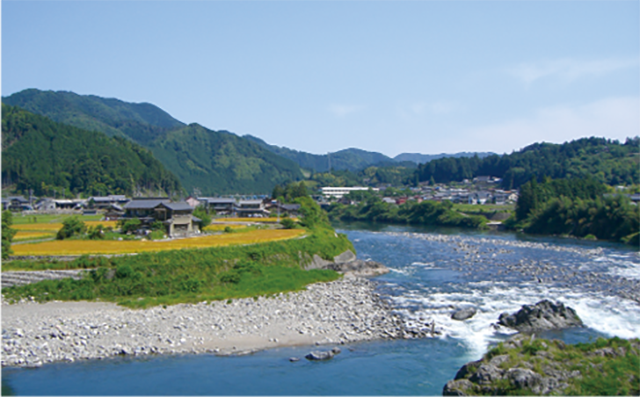 郡上市美並苅安(みなみかりやす)地区を流れる長良川。長良川の上流域であり、郡上鮎のふるさととして知られる