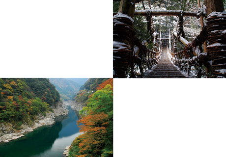 冬のかずら橋/小歩危峡の紅葉