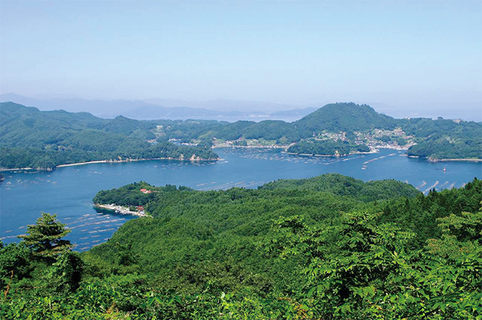 島内最高地点の亀山(海抜235m)から見た大島