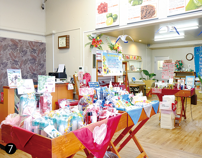 ポイントピュール直営店内の様子