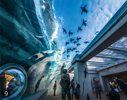 「九十九島動植物園森きらら」の「ペンギン館」、日本最大級の天井水槽