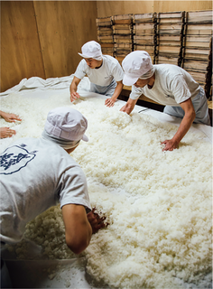 米にまんべんなく麹菌の胞子を根づかせる「床もみ」の作業