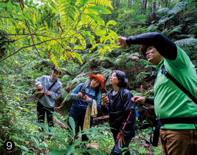 「ウコール山コース」では、やんばるの森ならではの亜熱帯植物をガイドが解説してくれる