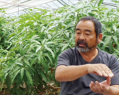 中川氏がマンゴー栽培を始めるきっかけとなった、宮崎の農業部会の永倉氏