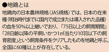 地鶏とは