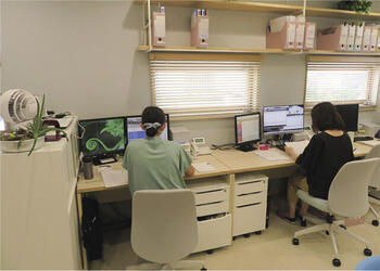 大きな窓を活かしたレイアウトのオフィス