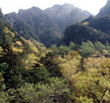 ｢上高地の景観｣