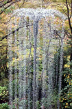 箱根ガラスの森美術館