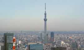 東京タワー展望台から望む東京スカイツリー